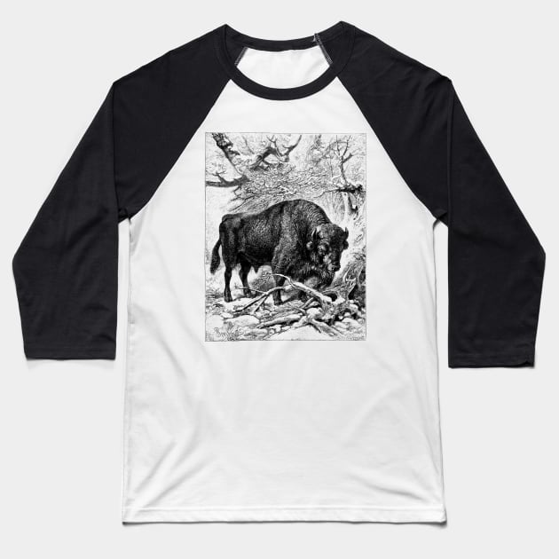 Bison Wildlife Illustration Baseball T-Shirt by Biophilia